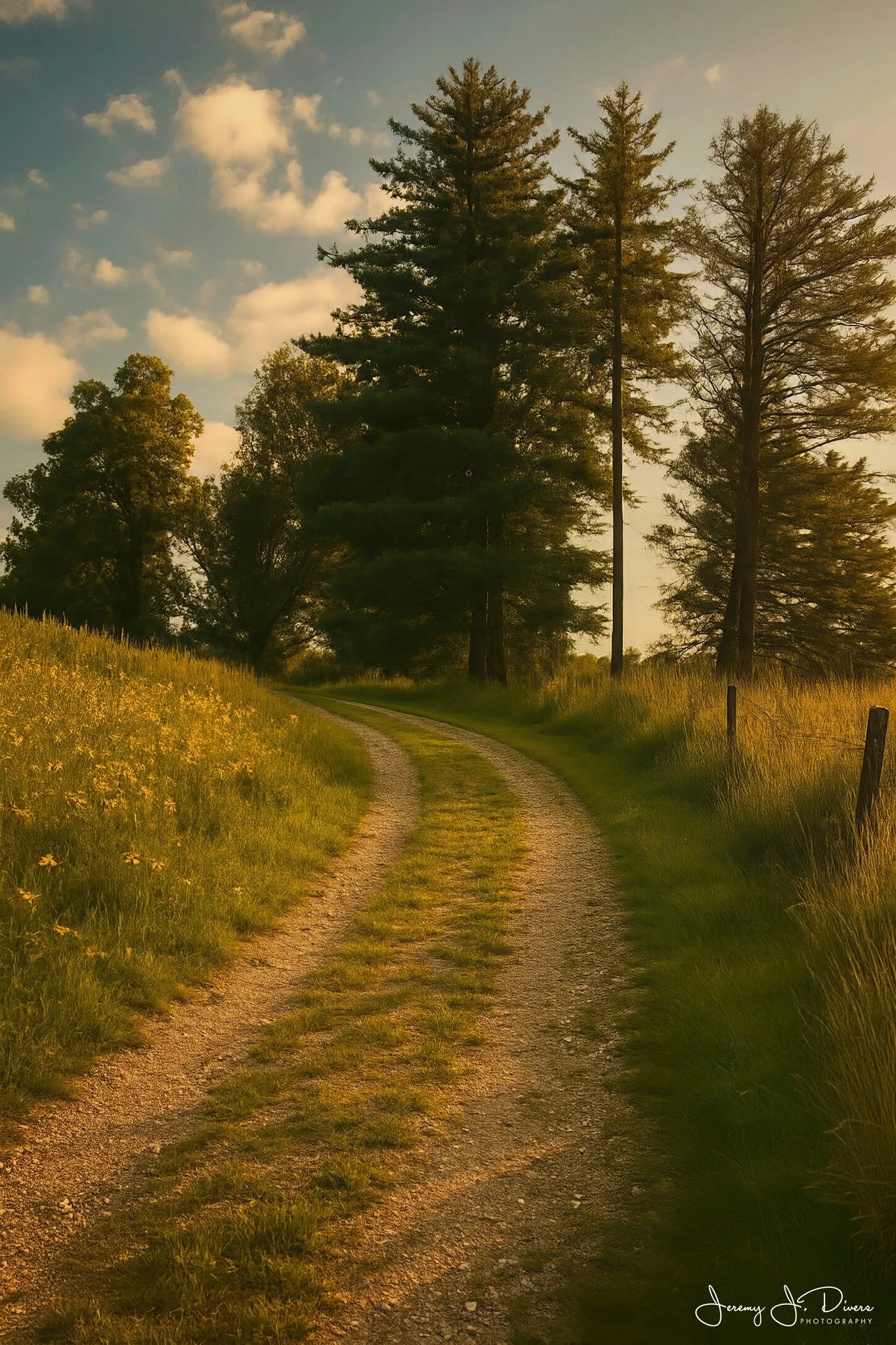 "Golden Hour Pathway" Shaw Nature Reserve, Gray Summit, MO