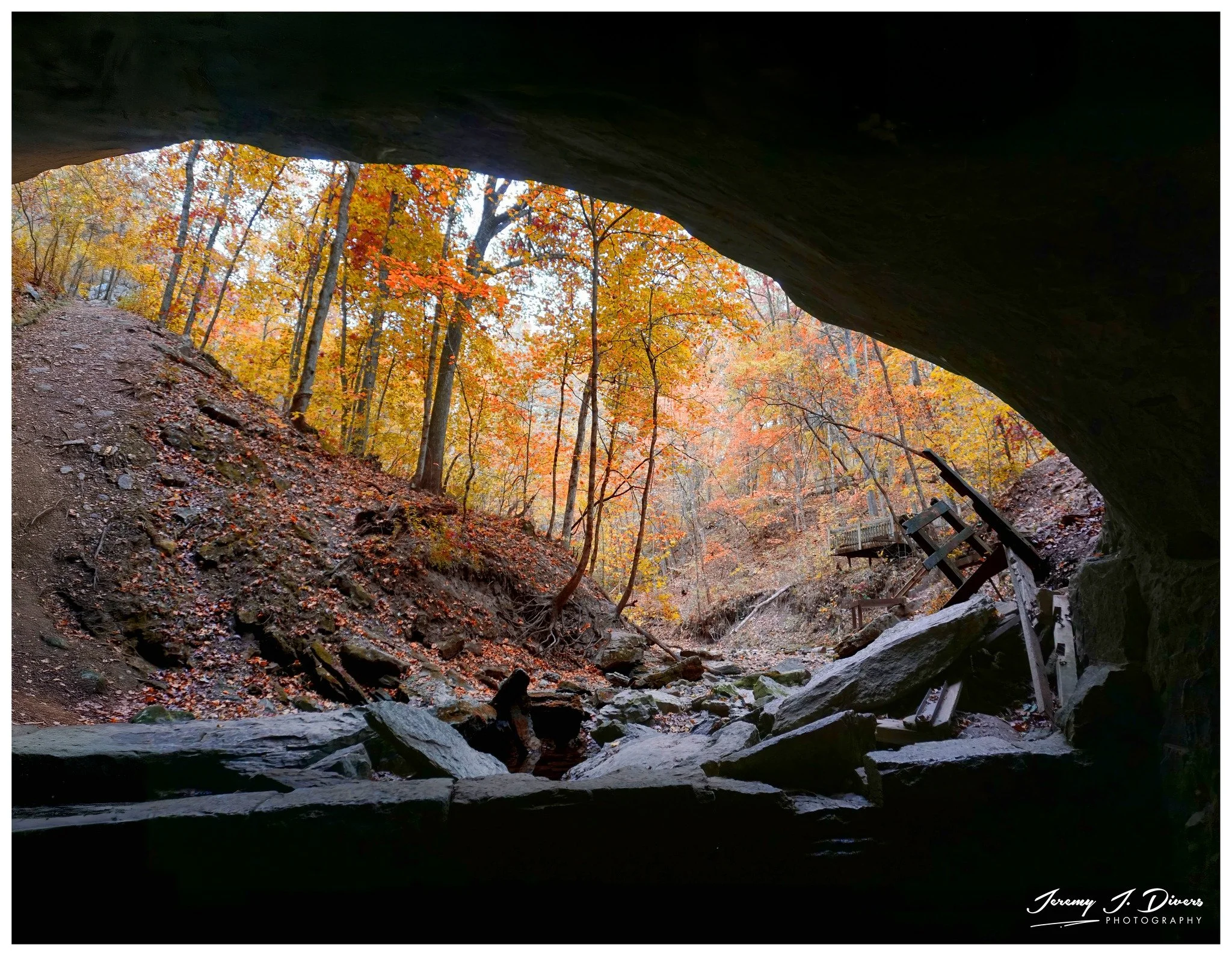 "Views from Beneath the Rock Bridge" Rock Bridge State Park, Columbia, Missouri