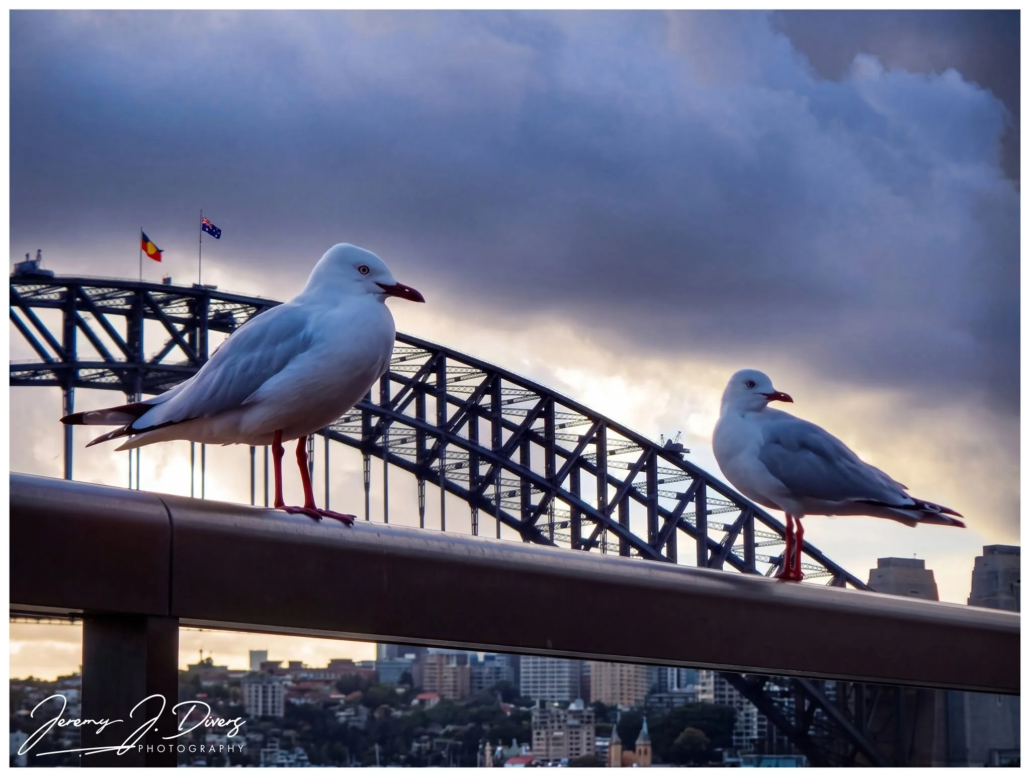 "Sentinels of Sydney" Sydney, Australia