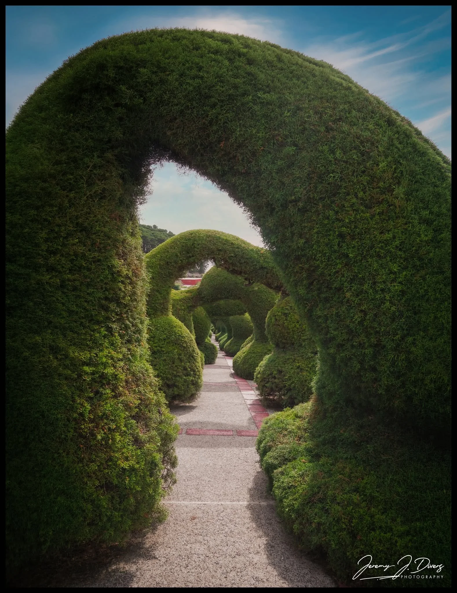 "Path through the Hedges" Zarcero, Costa Rica
