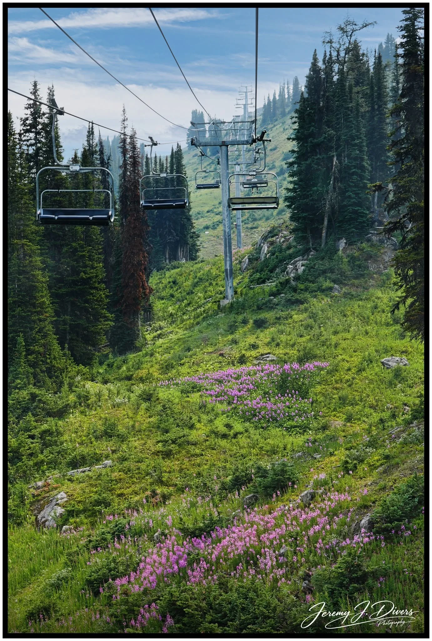 "Ski Lifts Above the Alpine Meadow" Banff National Park, Alberta, Canada