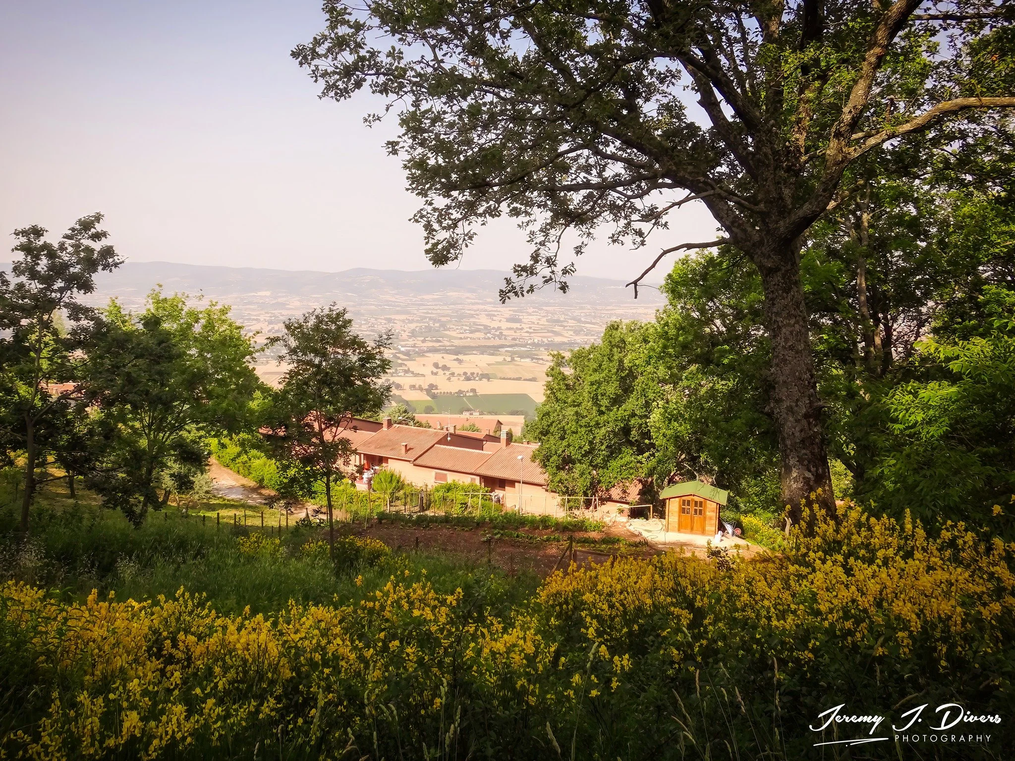 "Golden Afternoon in Tuscany" Near Florence, Italy