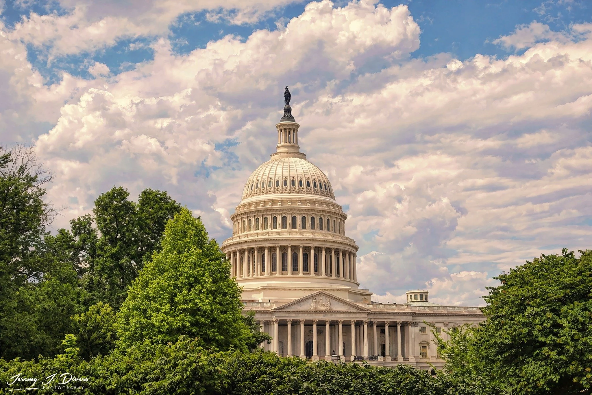 "The Capital From Behind the Trees" Washington DC