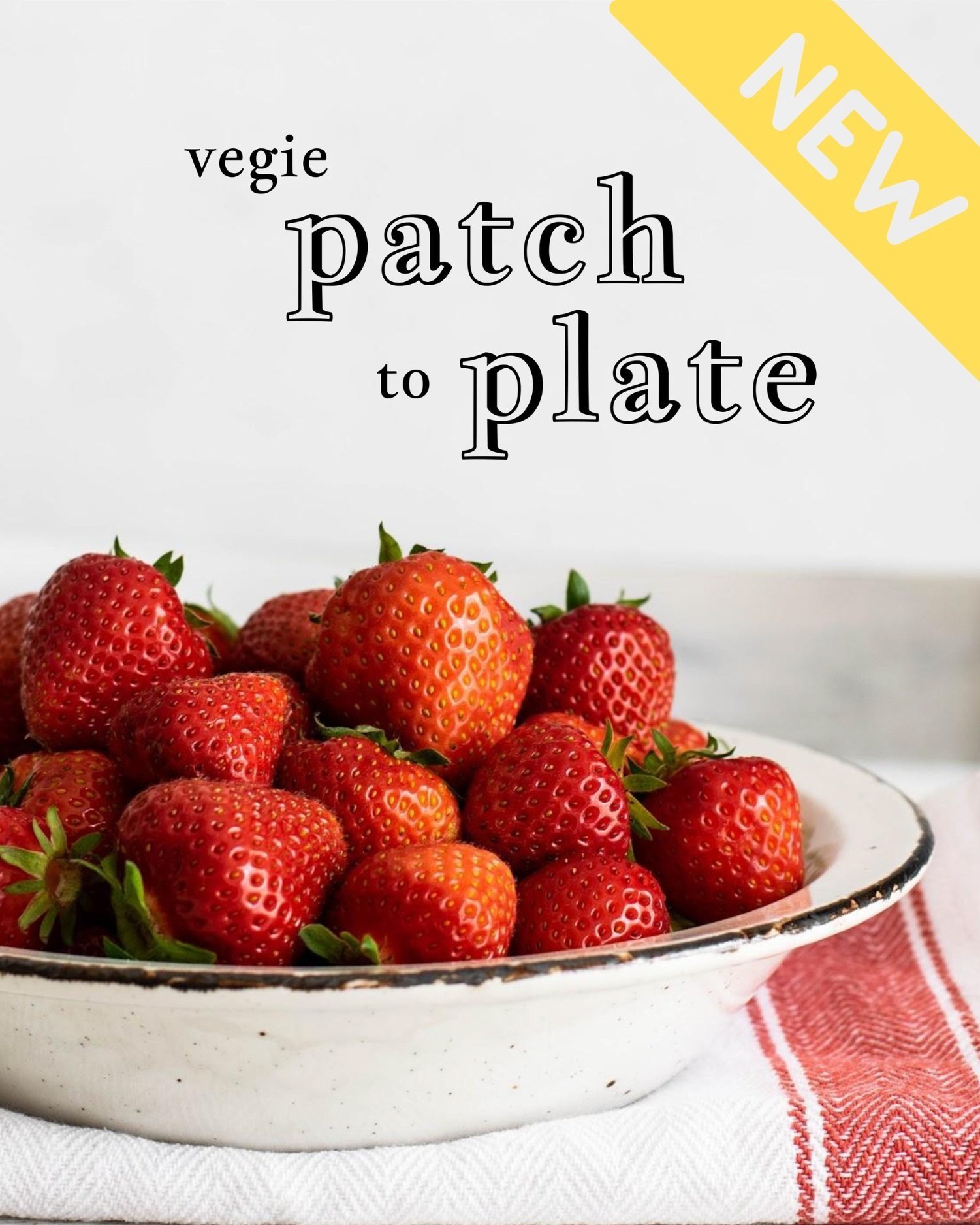 Check out our new ‘Patch’ template