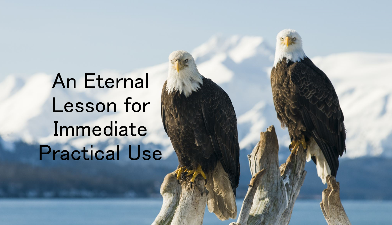 An Eternal Lesson for Immediate Practical Use