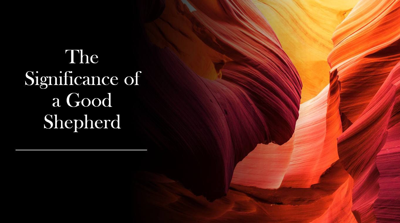 The Significance of a Good Shepherd 