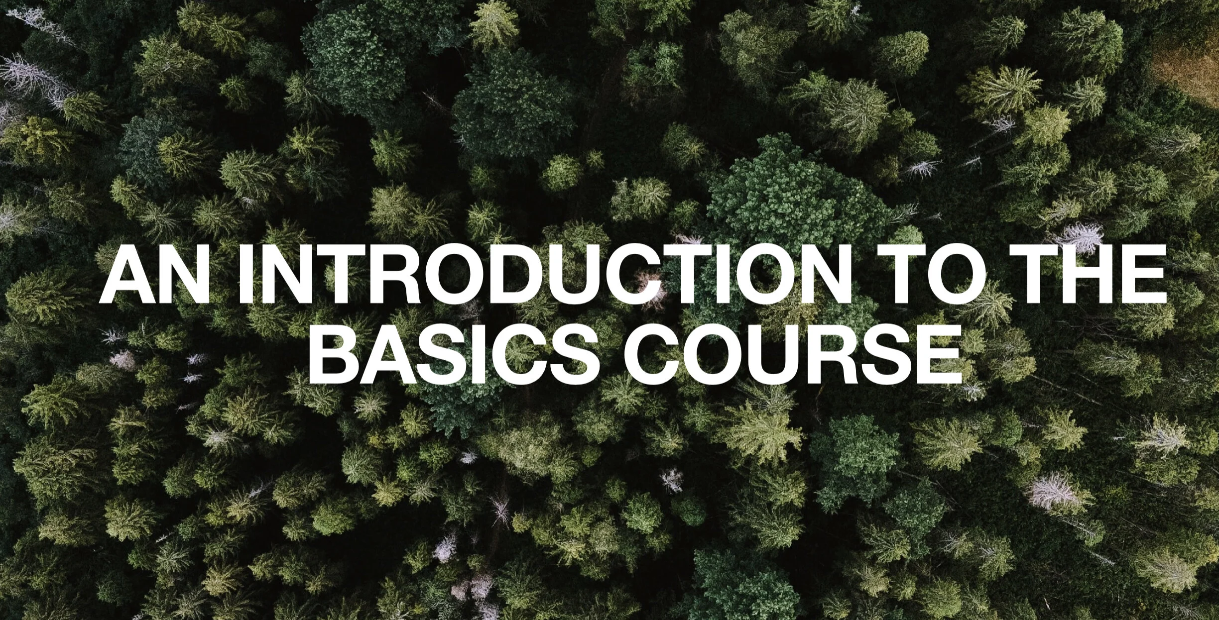 AN INTRODUCTION TO THE BASICS COURSE