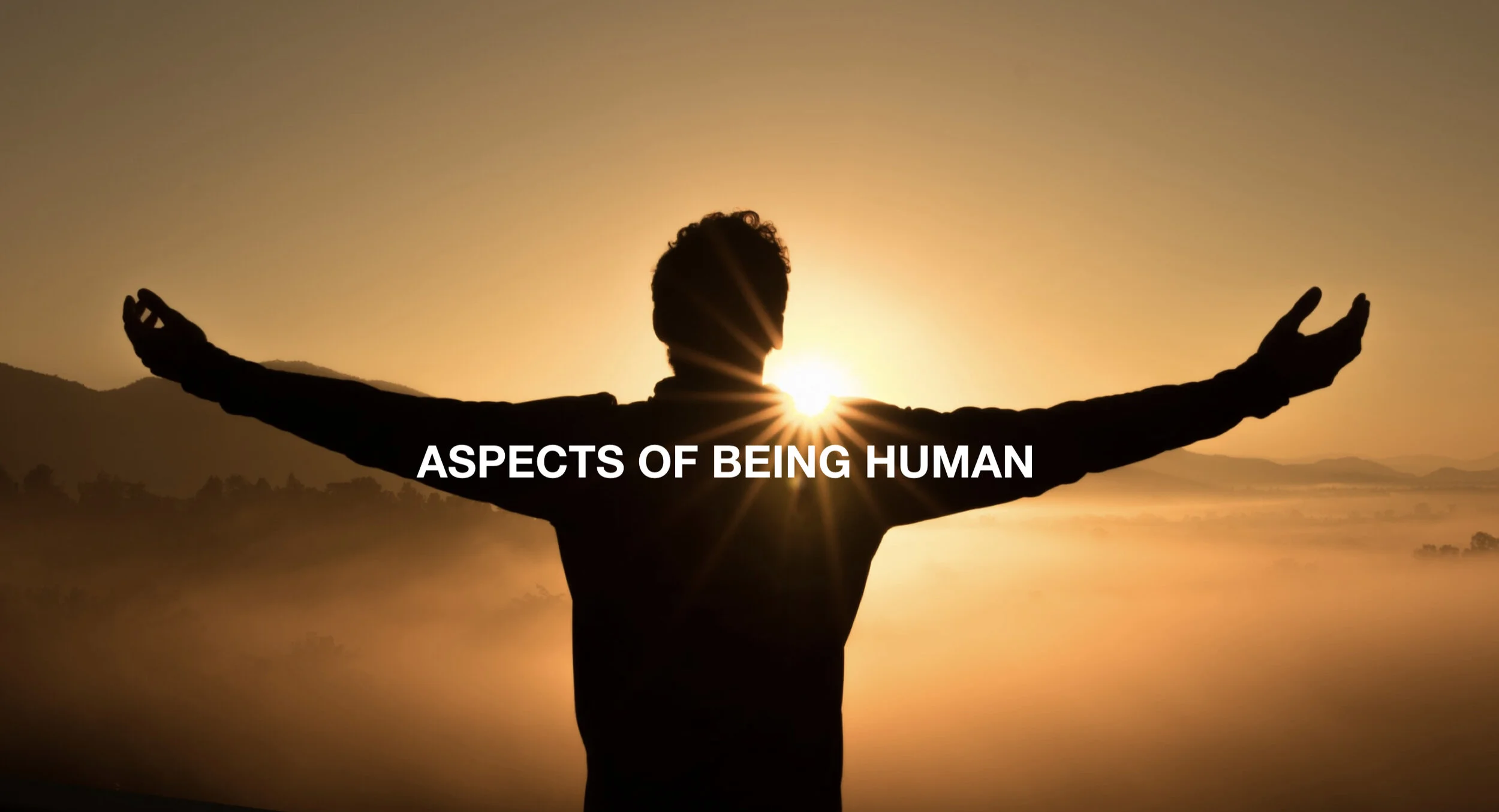 Aspects of Being Human