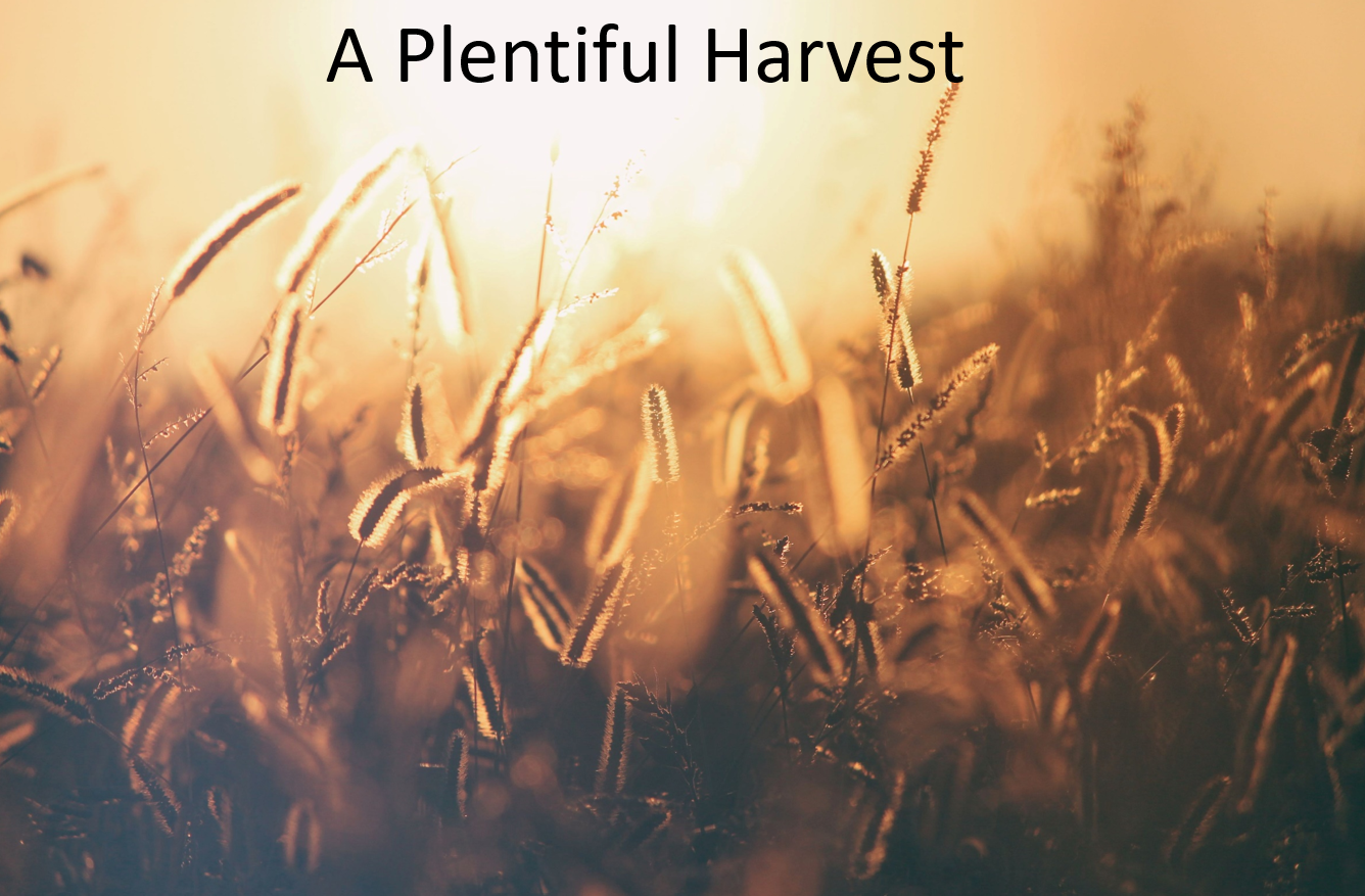 A Plentiful Harvest