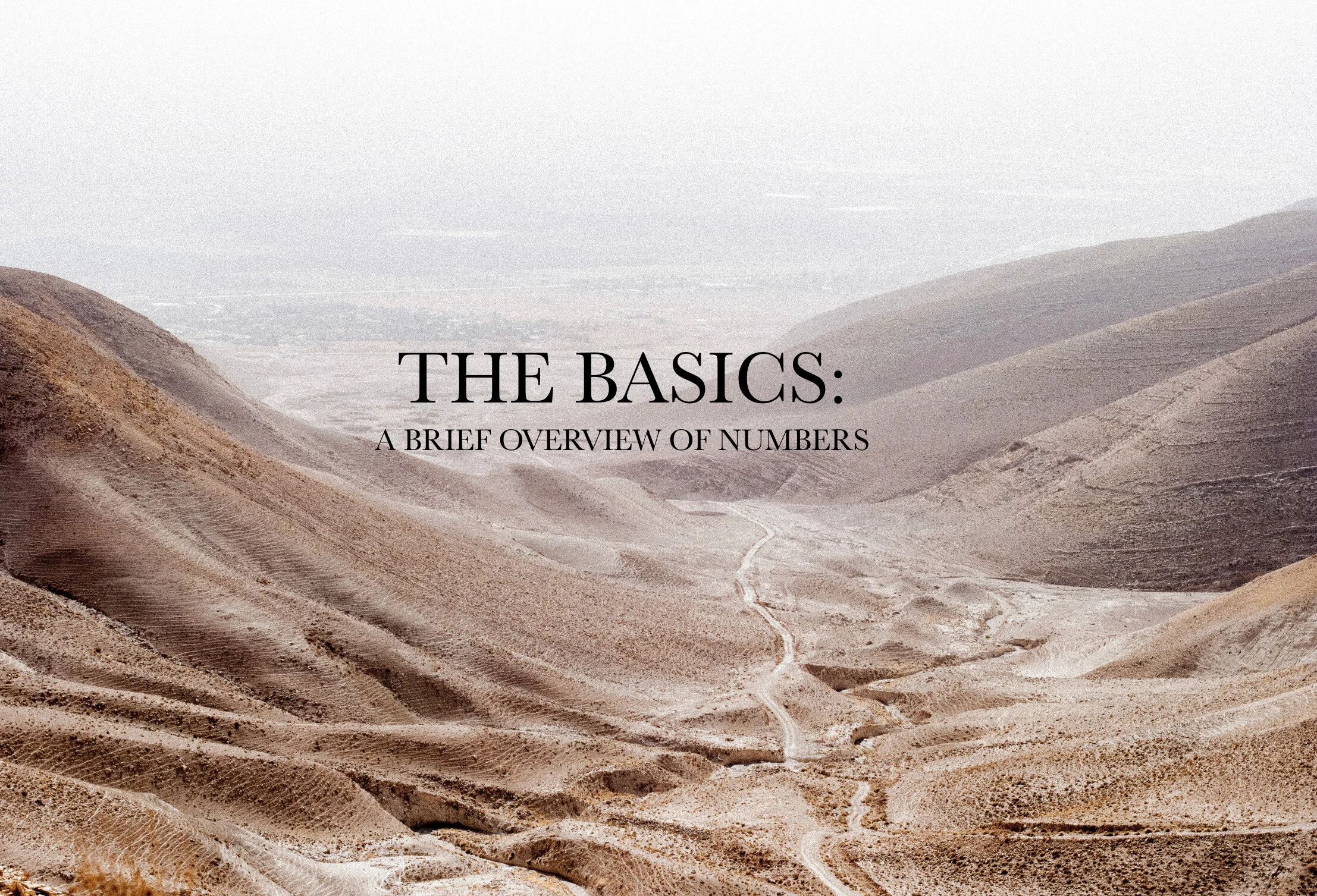 The Basics: A Brief Overview of Numbers