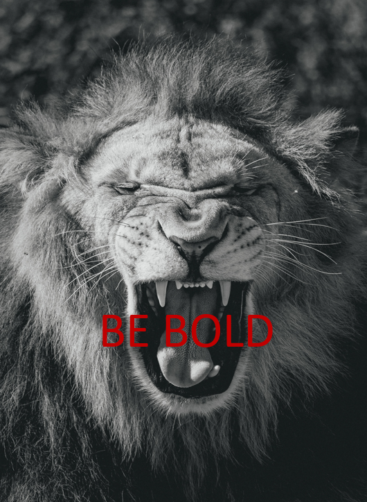 Be Bold
