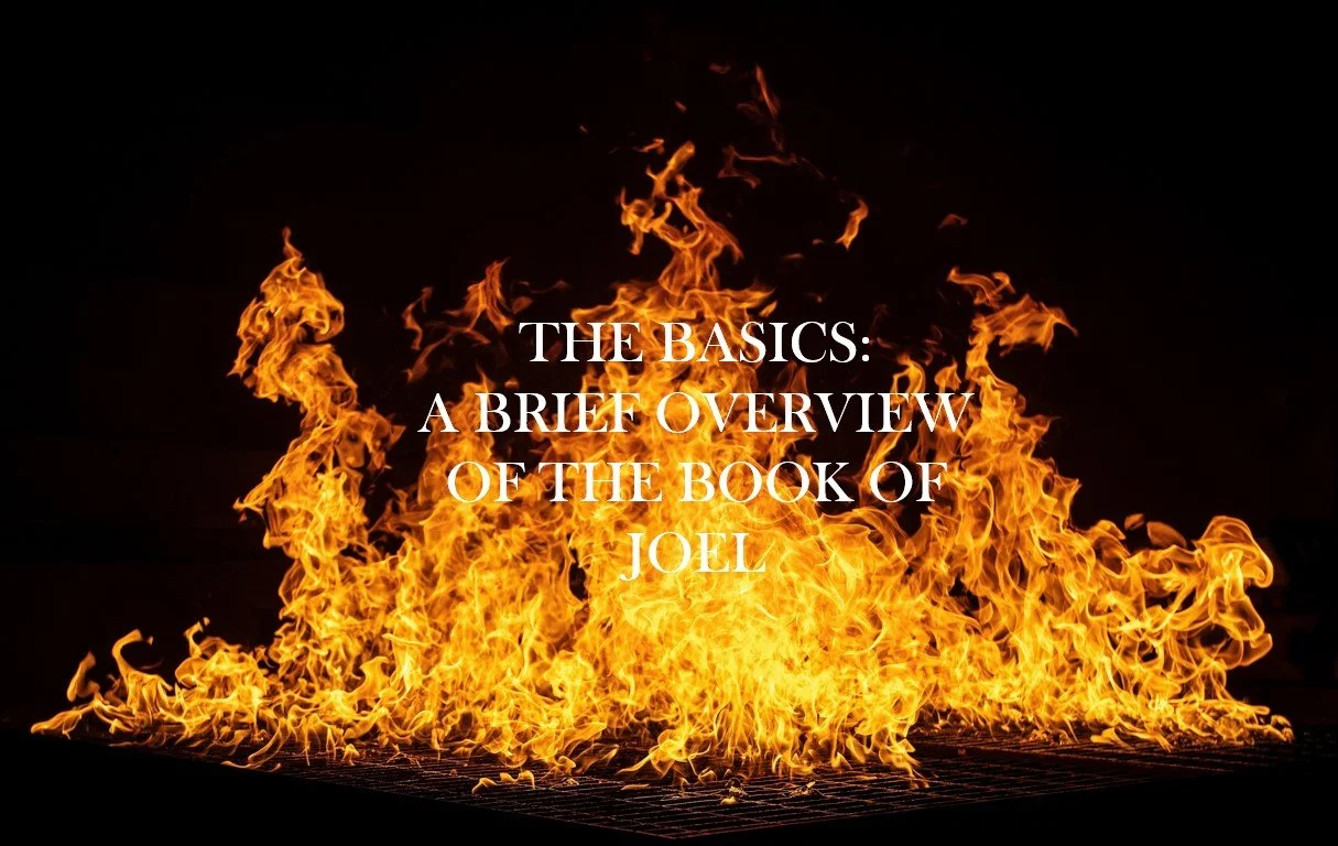 The Basics: A Brief Overview of the Book of Joel