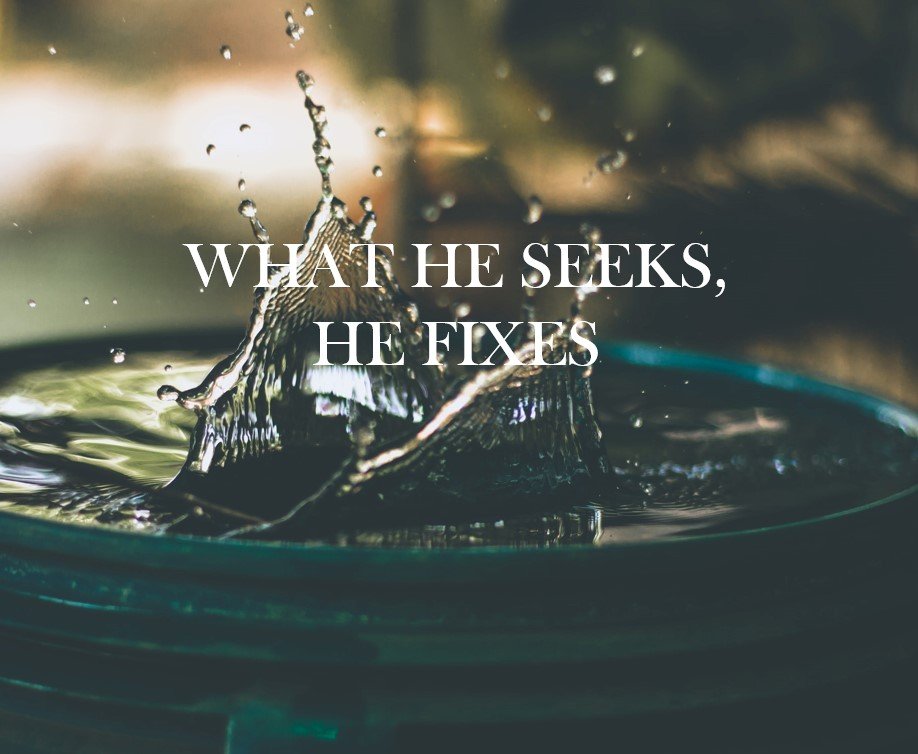What He Seeks, He Fixes