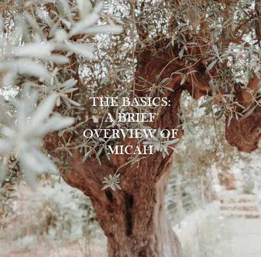 The Basics: A Brief Overview of the Book of Micah
