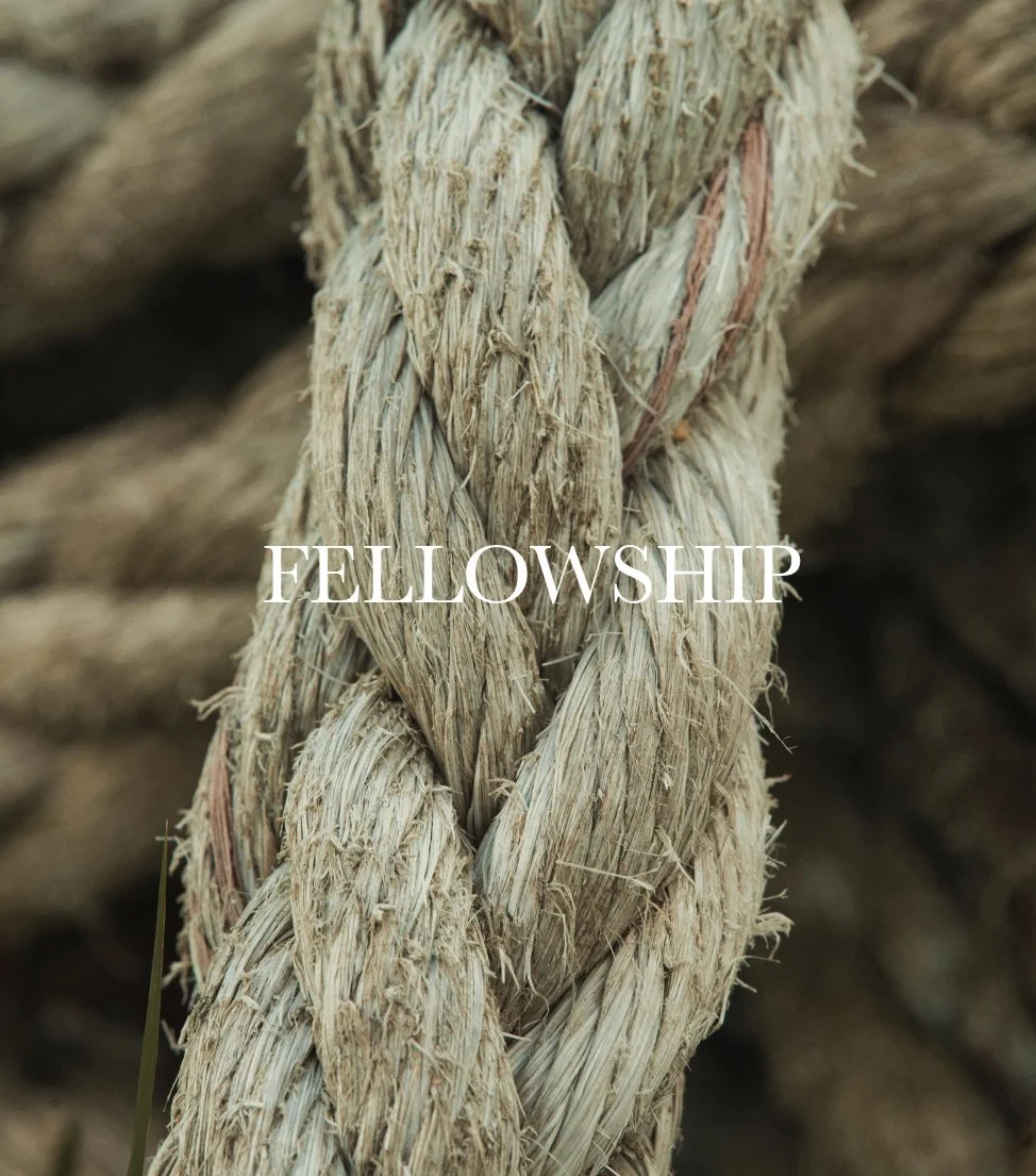 FELLOWSHIP
