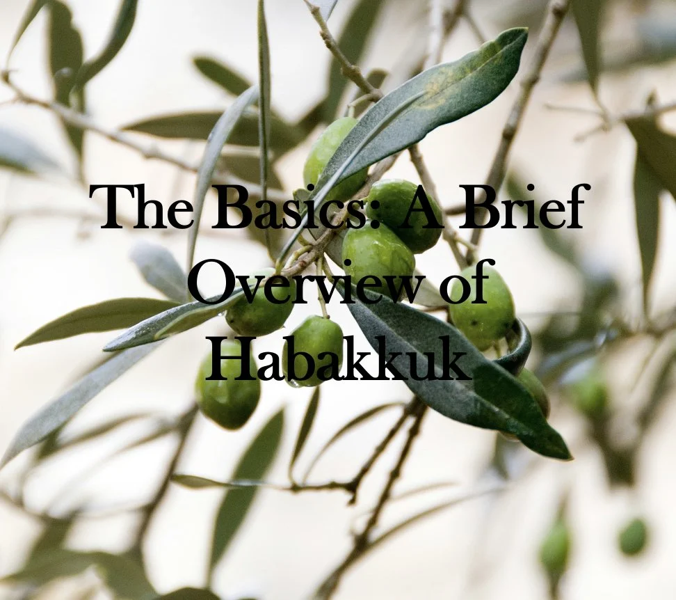 The Basics: A Brief Overview of Habakkuk