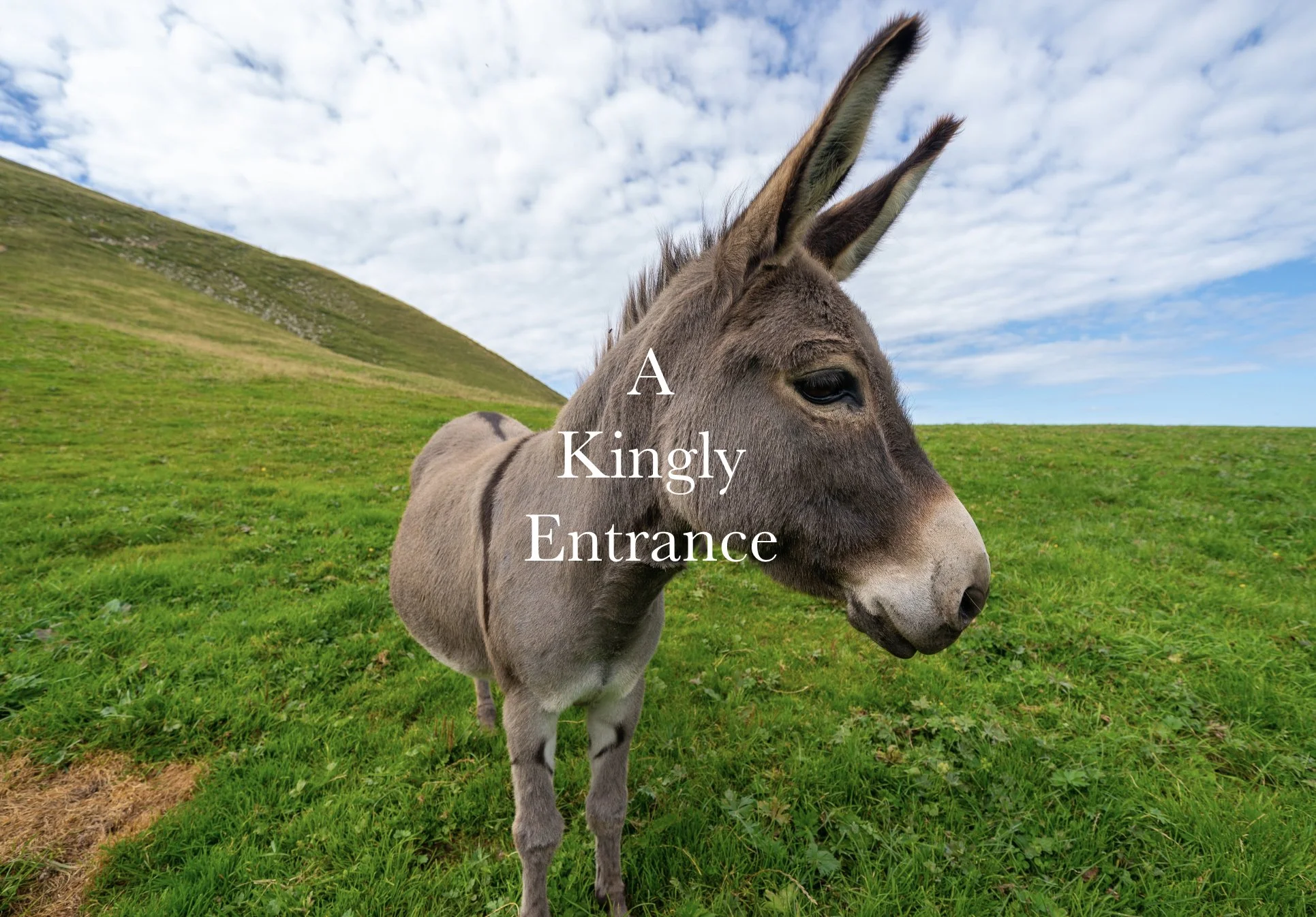 A Kingly Entrance