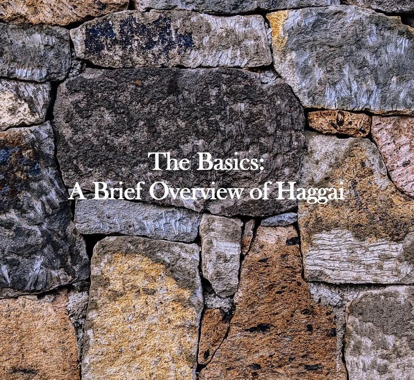 The Basics: A Brief Overview of Haggai