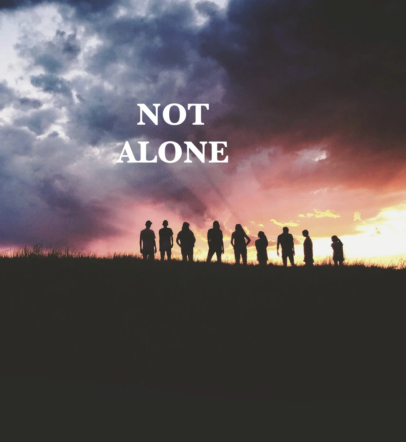 Not Alone (II)