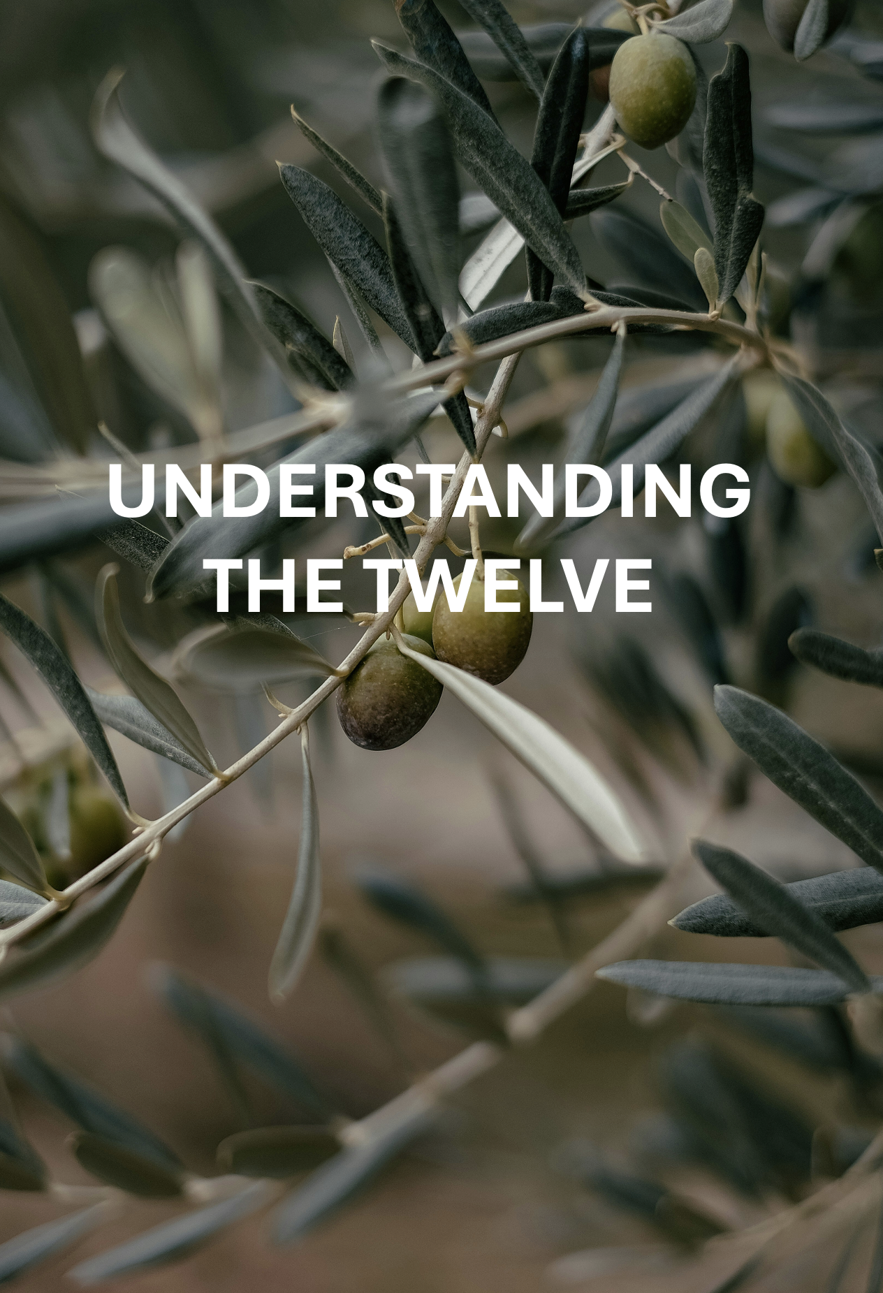 Understanding the Twelve