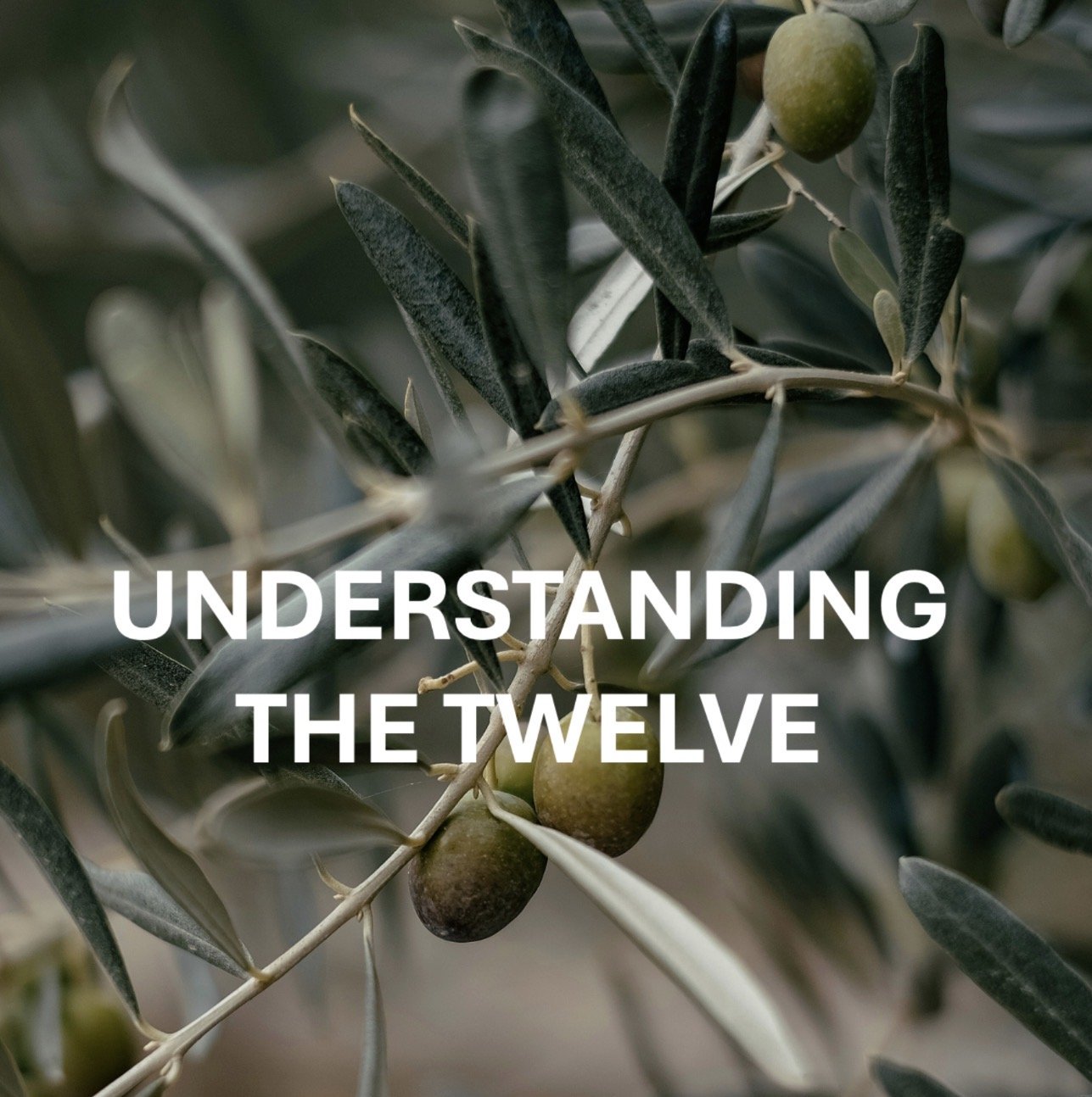 Understanding the Twelve- Philip