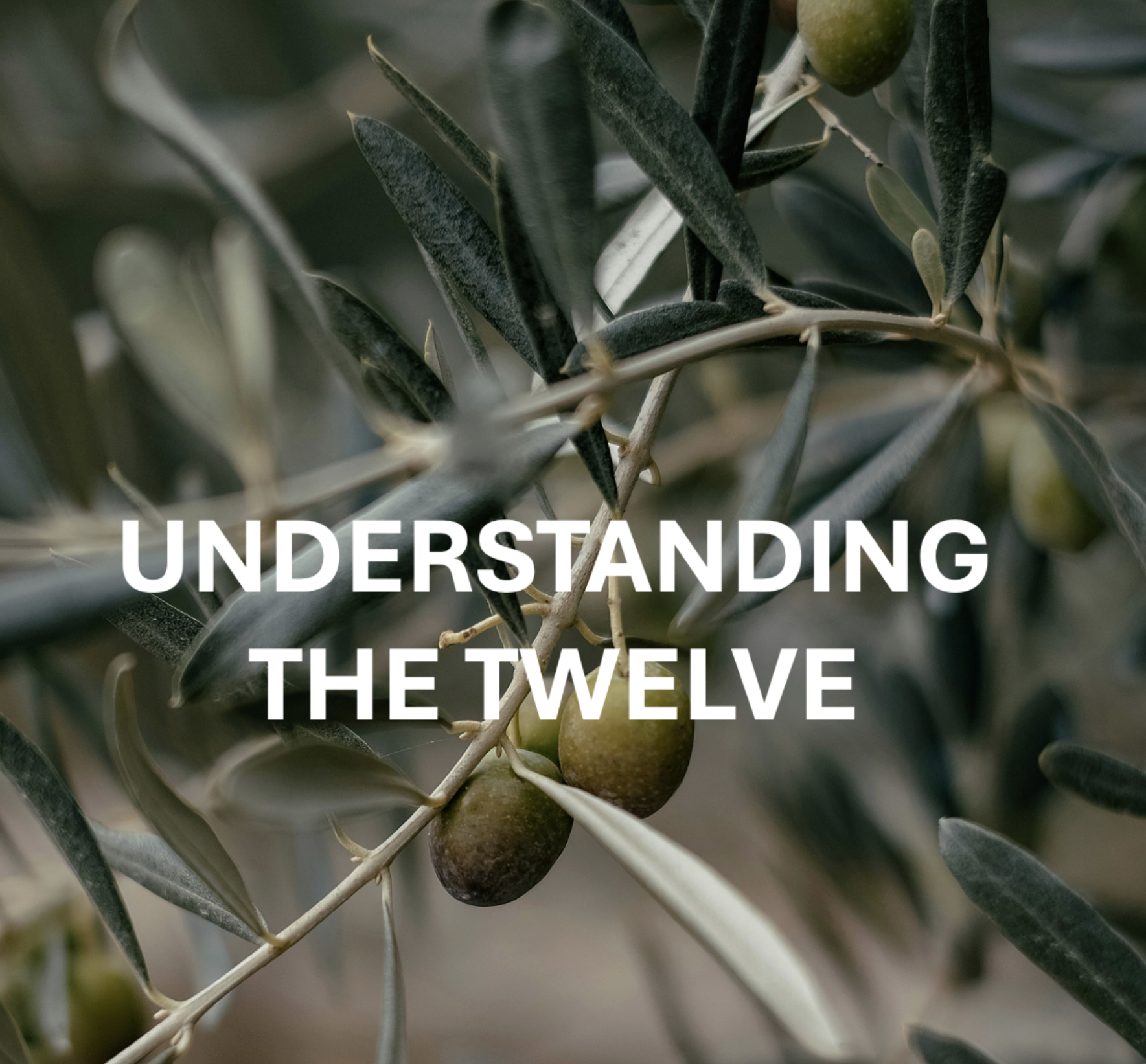 Understanding the Twelve-Matthew