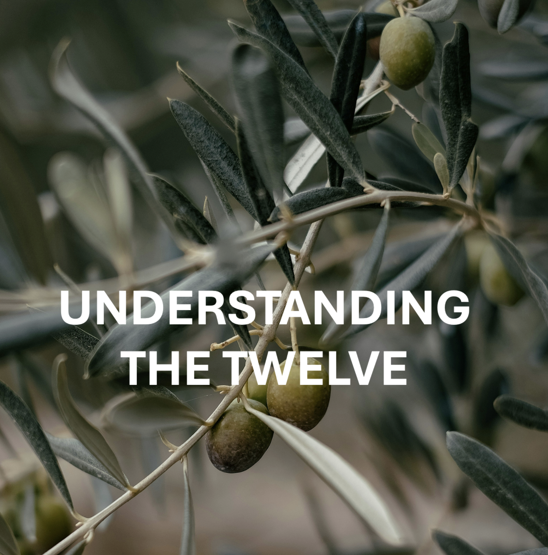 Understanding the Twelve-Conclusion
