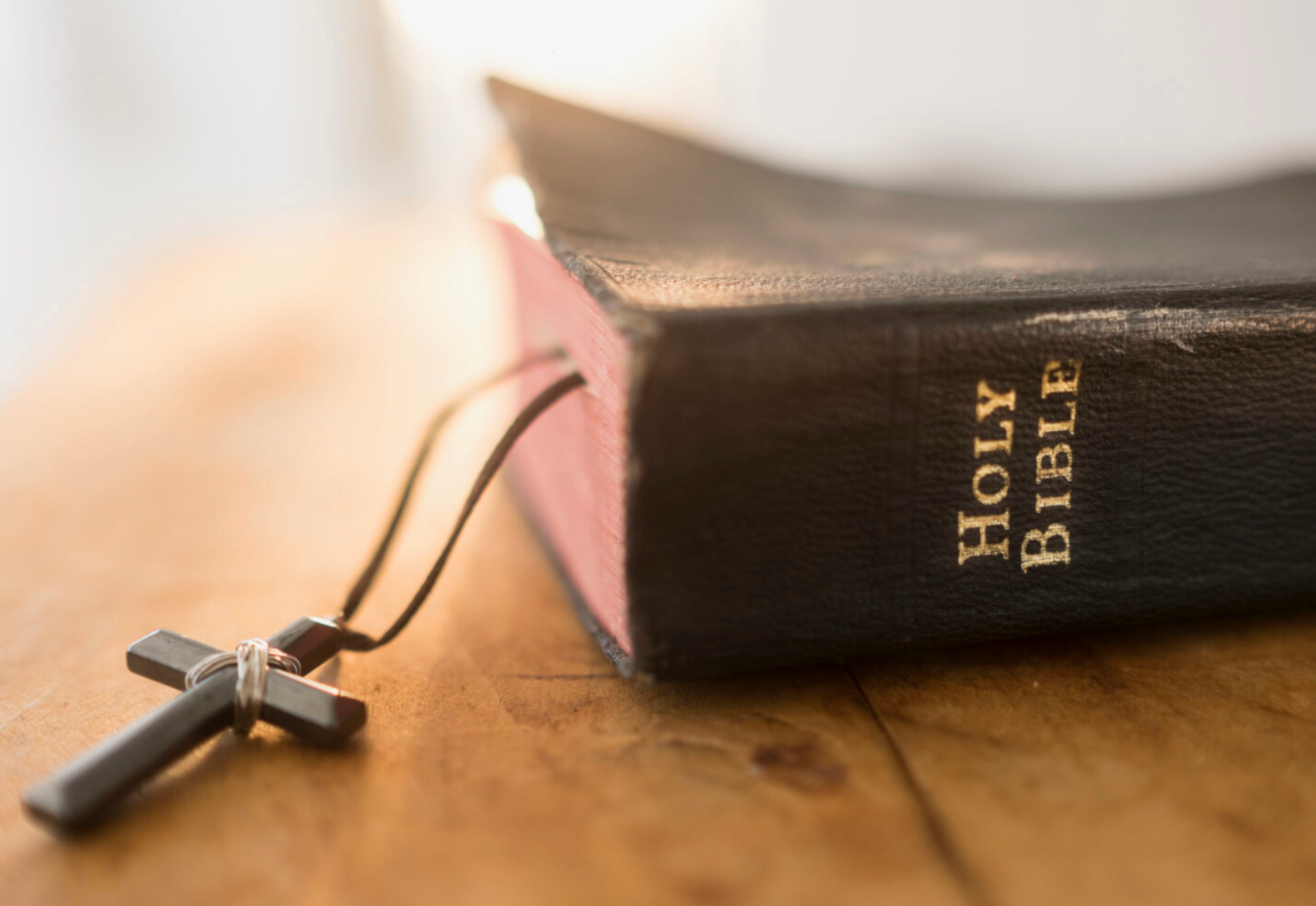 God Rebukes the Priests