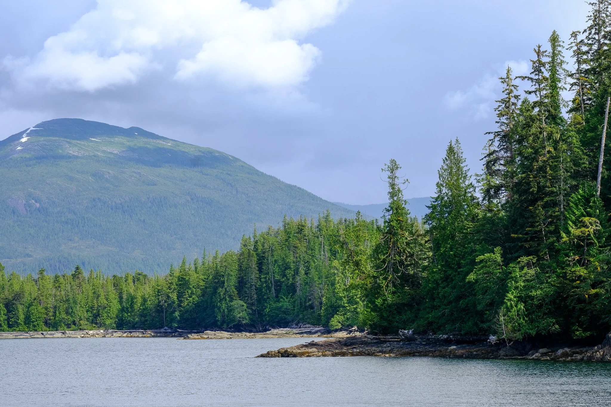 Alaskan Lansdcape.jpg