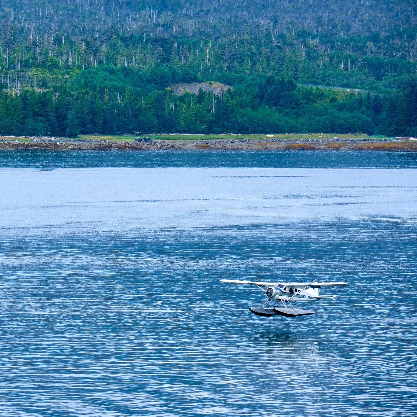 Alaskan+Seaplanes.jpg