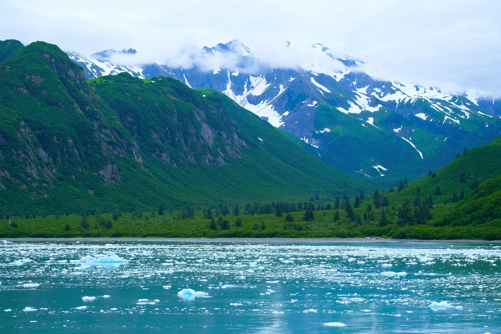 Near Hubbard Glacier3.jpg