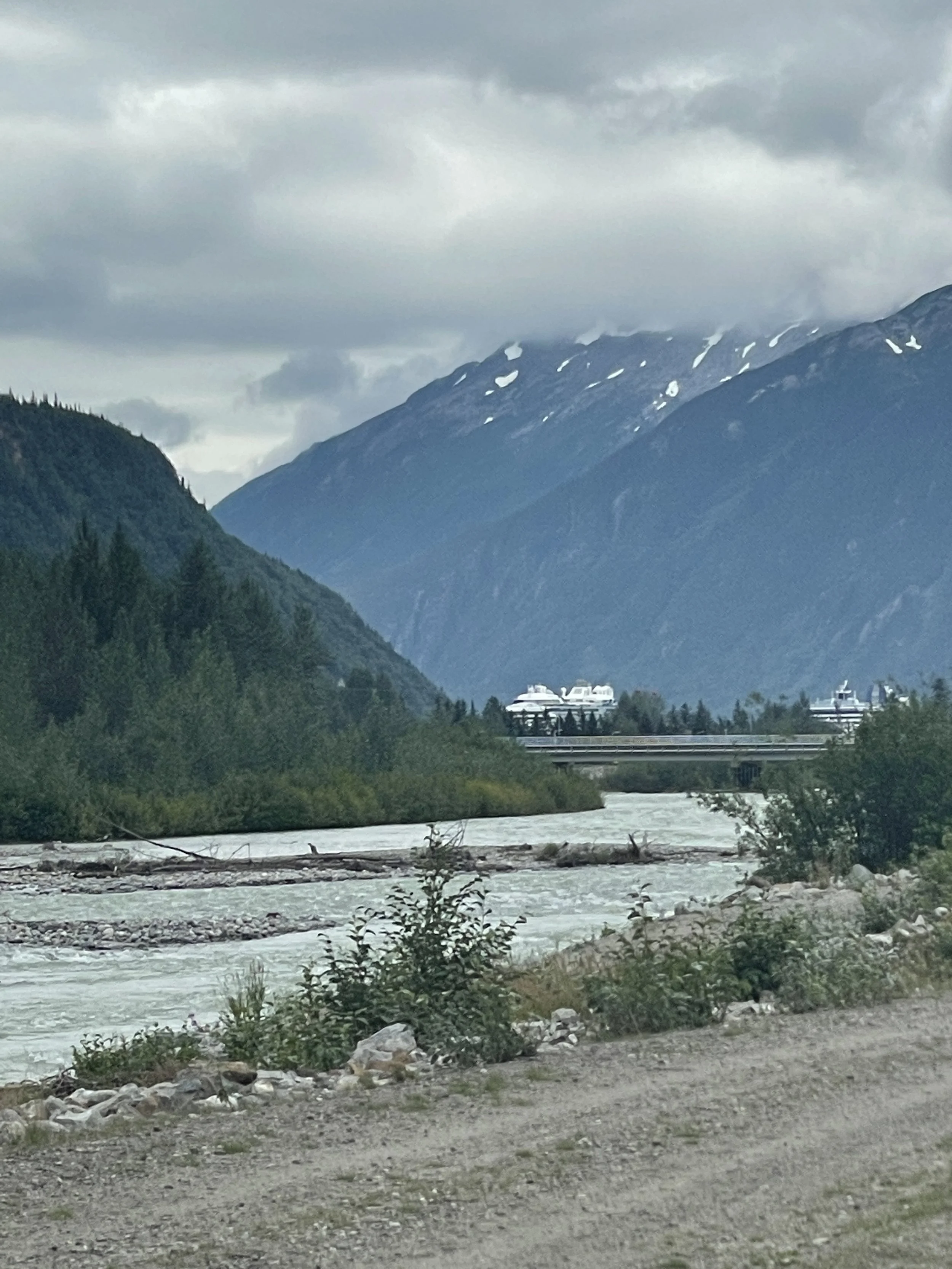 2022-08-01 15.23.06.jpg