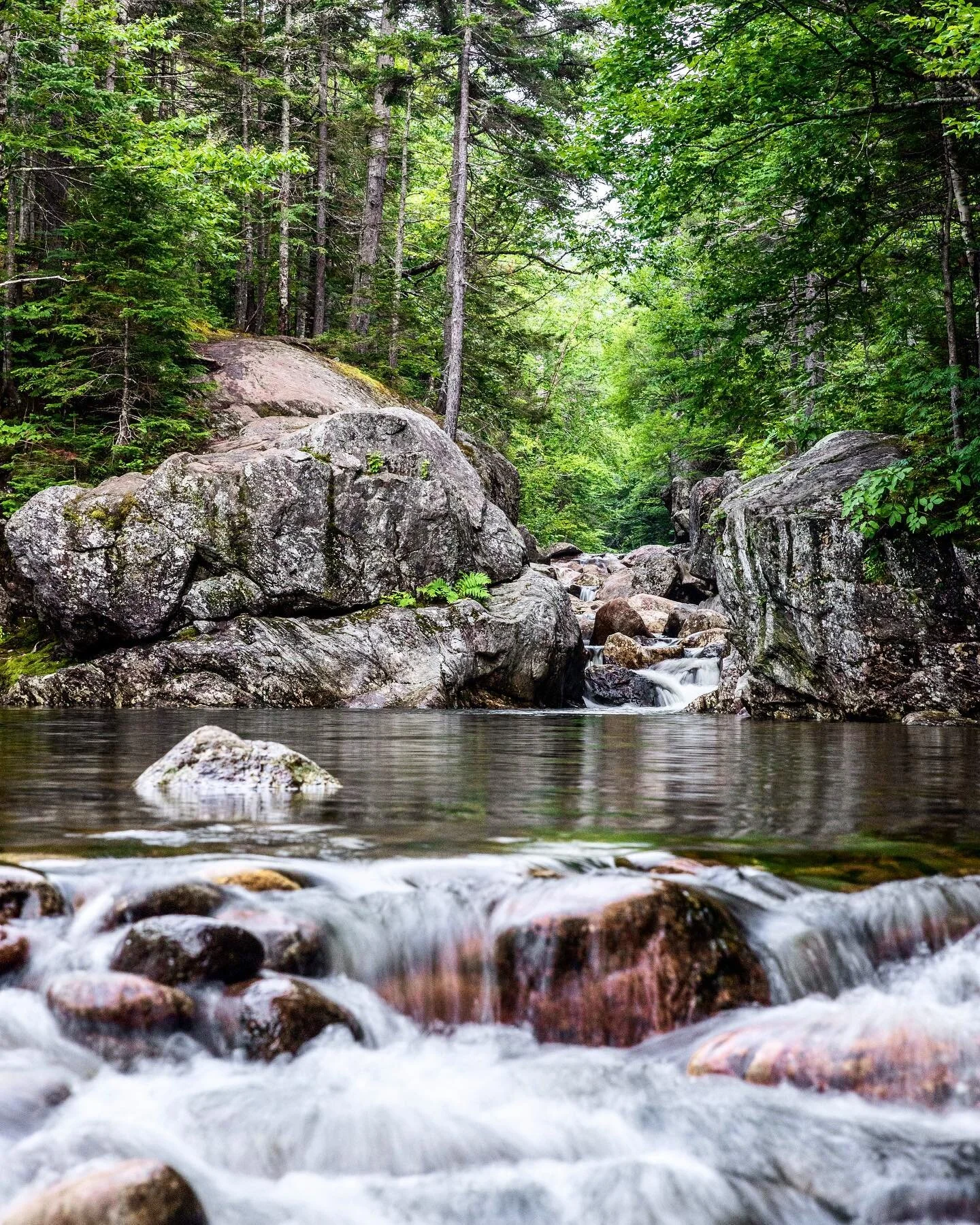 Emerald Pool 🏔🌿🌲

📍Ancestral Abenaki and Wabanaki land

#whitemountainsnh #whitemountains #waterfall #mountainstream #newhampshirelife #visitnh #livefreenh