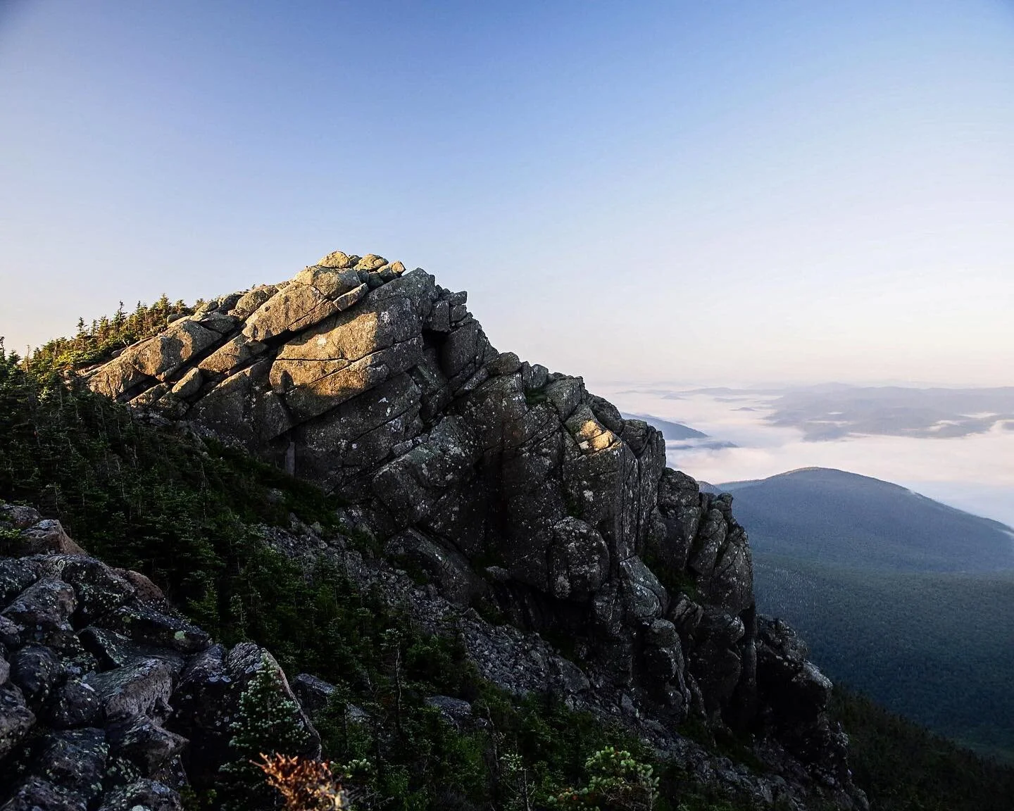 If you haven&rsquo;t done it yet, you should head over to our site (link in bio) and sign up for our newsletter! The first one hits the digital press tomorrow morning, and your mailbox will be all the more beautiful for signing up! With new deals on 