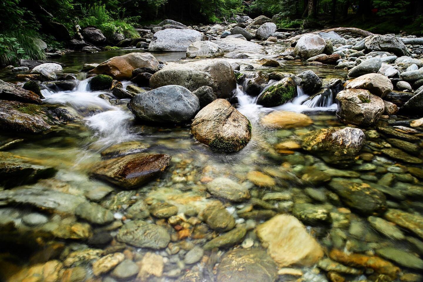 Vermont is pretty cool 🌿🌲

📍Ancestral Abenaki land

#greenmountainnationalforest #vermont #hikevermont #runvermont #longtrail #newenglandoutdoors #vermontlife #vermonthiking #runthegreens