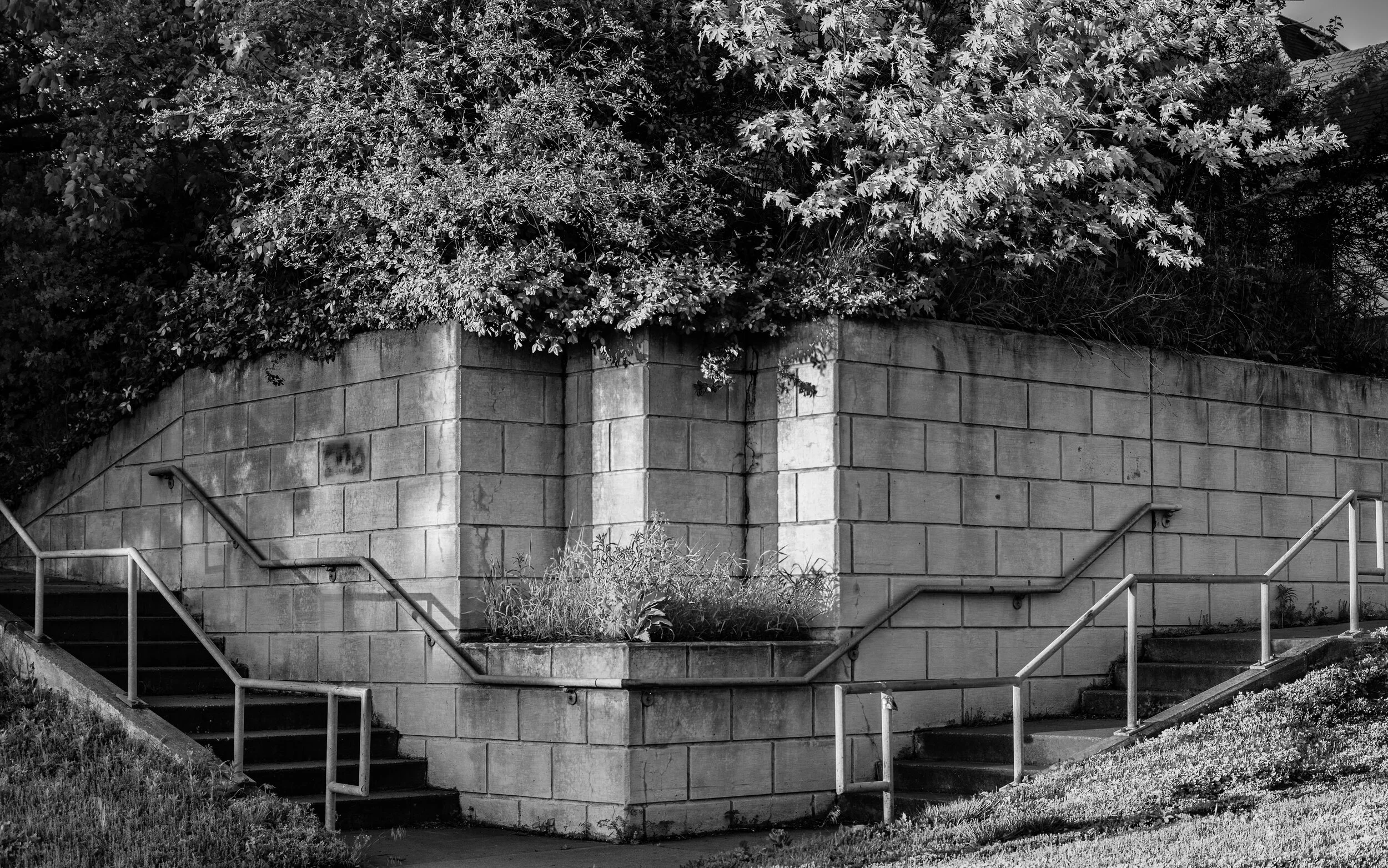 Architecture — Lucas Farms Neighborhood Association