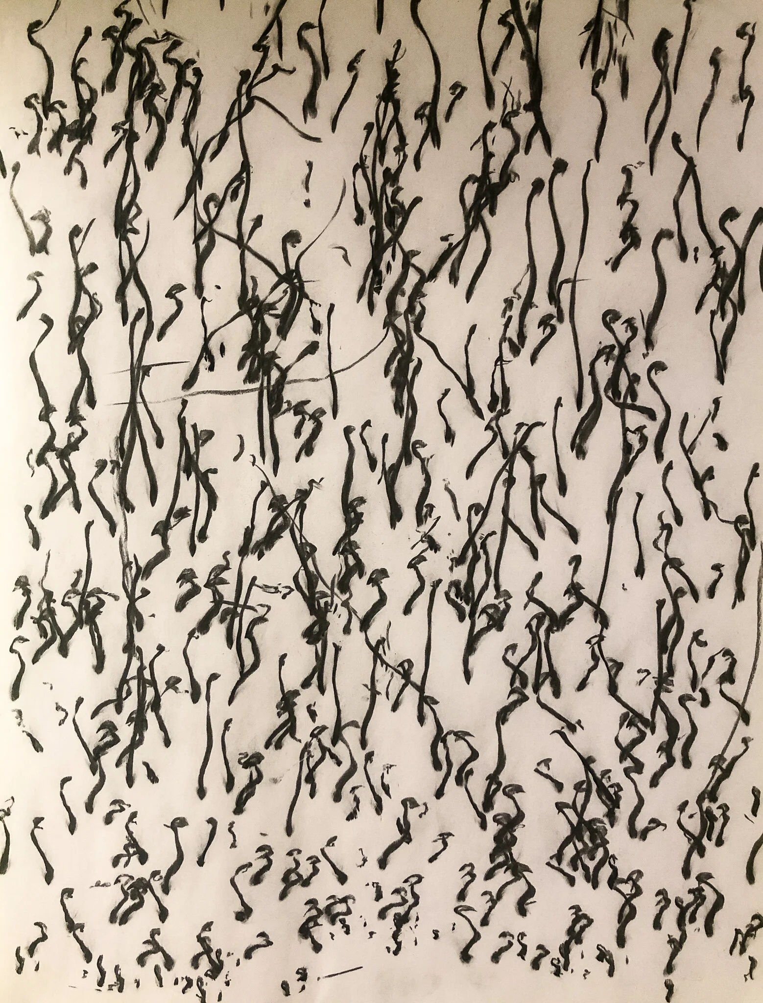 SWIMMERS Graphite Series Charcoal on Newsprint 24” x 18” 2020