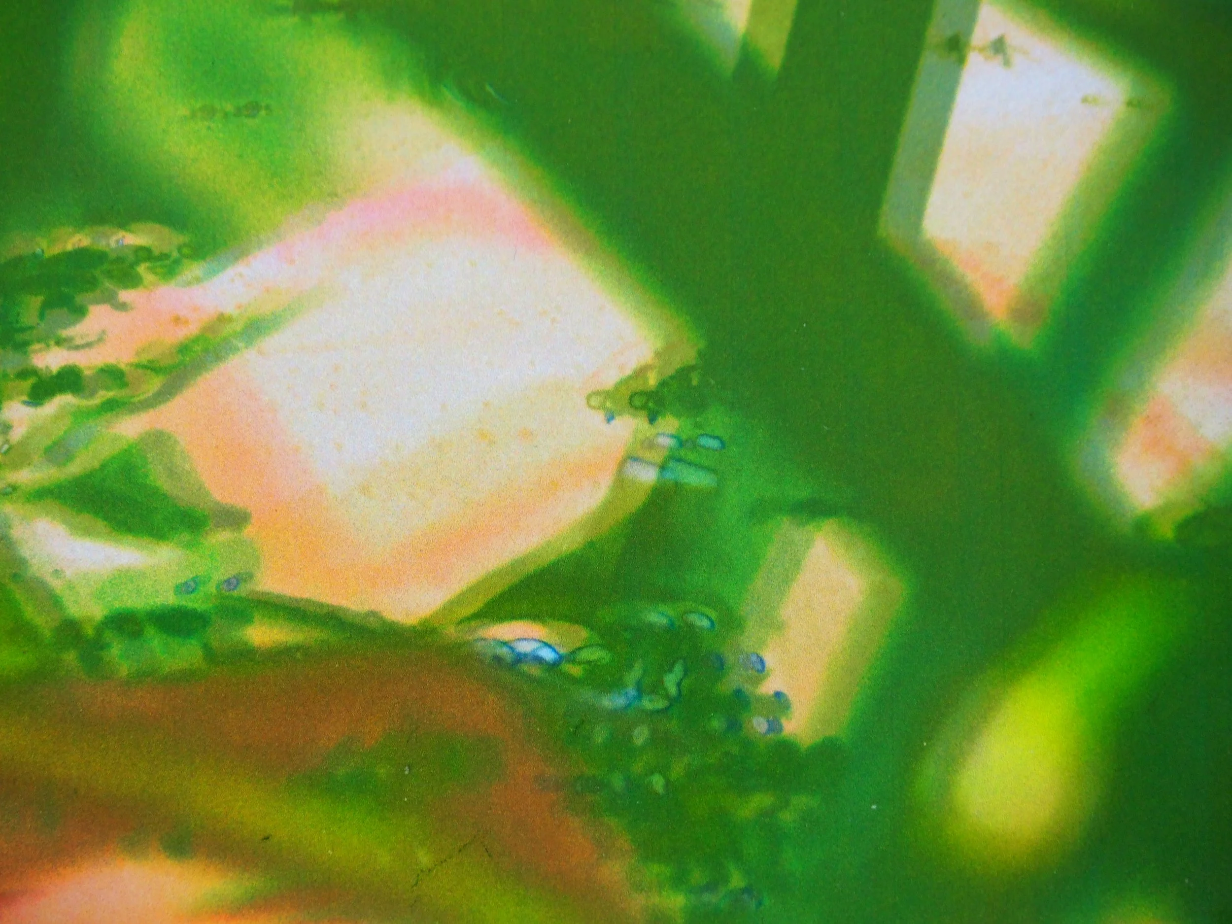PB240612.JPG