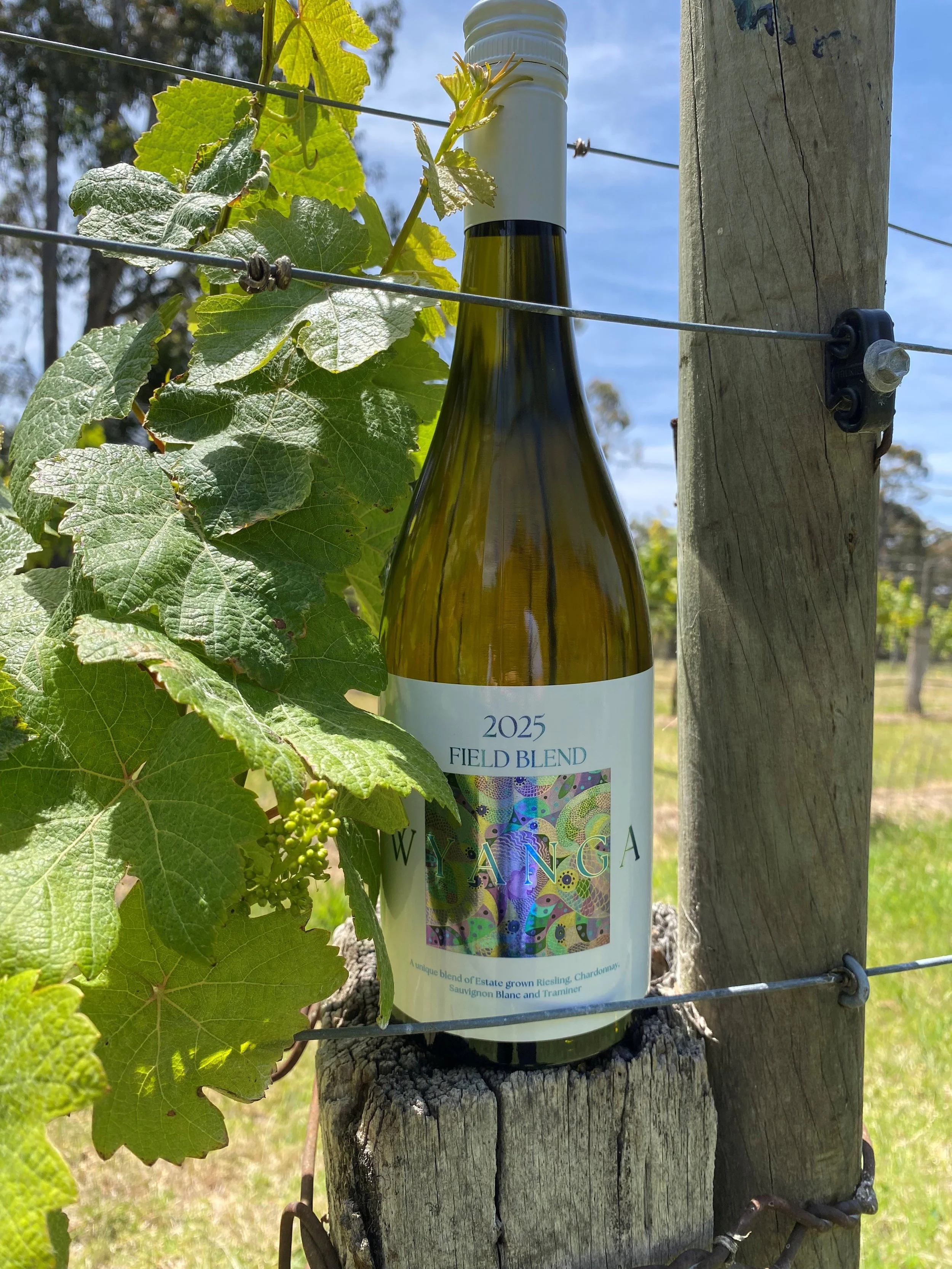 2025 Field Blend 2.jpg