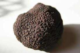 Fresh Perigord Truffle (Black Winter)