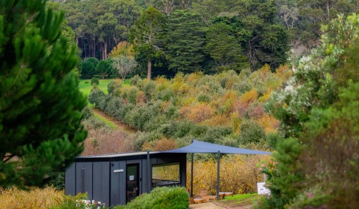 At This Australian Farm, The World’s Most Expensive Ingredient Grows Under Your Feet