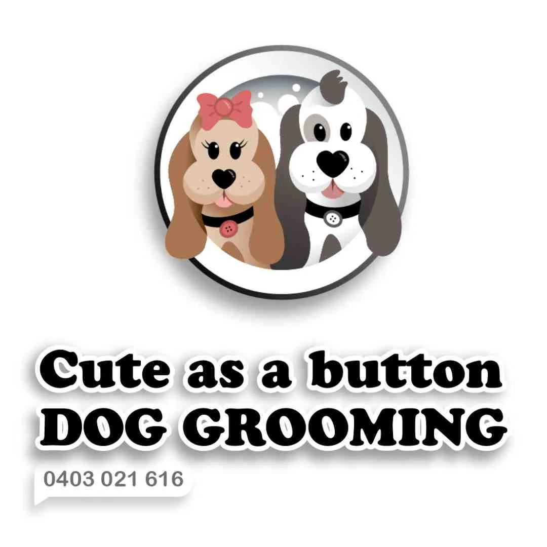 Dog Grooming Schools and Courses within Australia