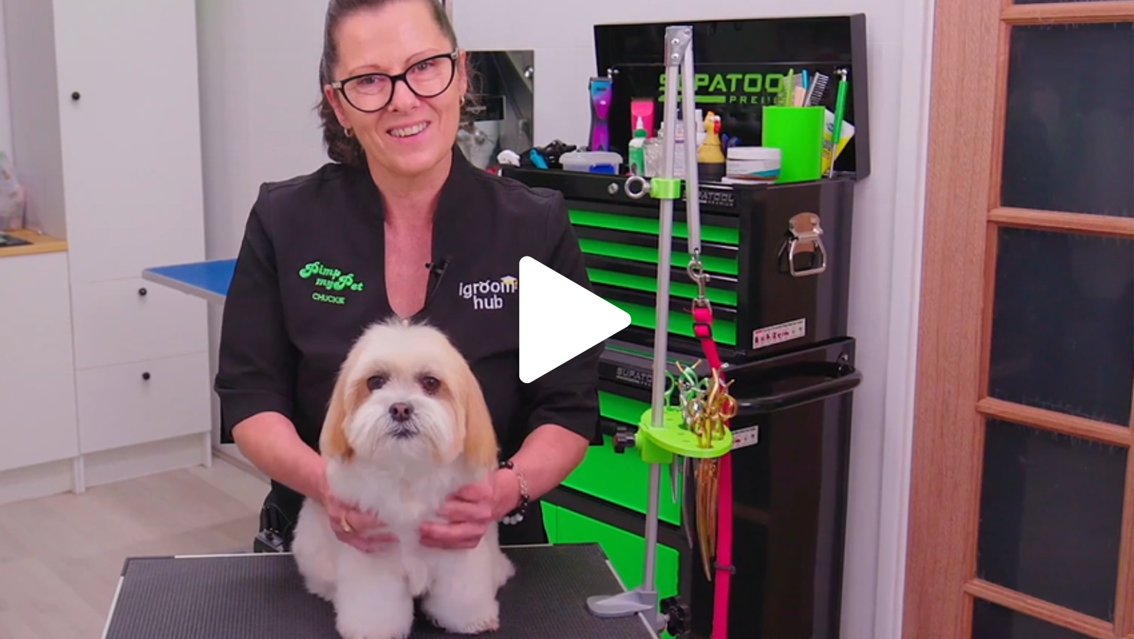 Queen Anne legs, 19mm comb, and gentle handling with Chuckie and Mia (4 videos)