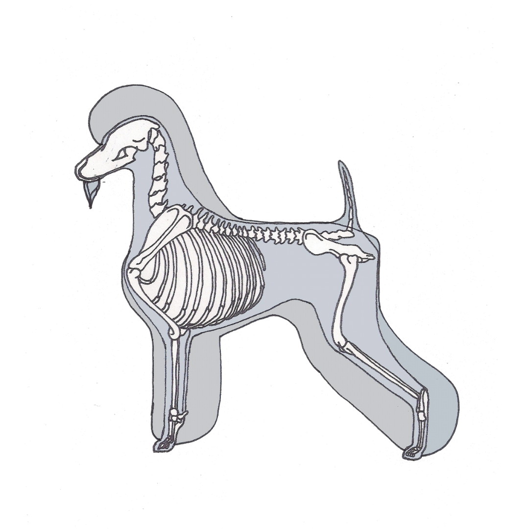 Untitled design (39).png