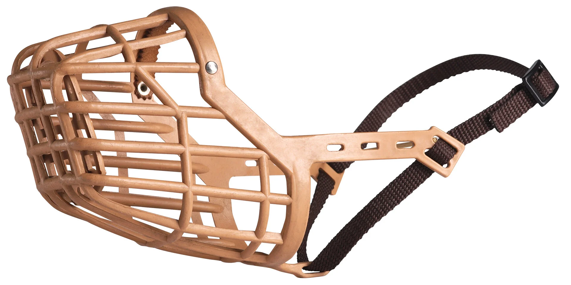 igroomhub-safety-restraints.jpg