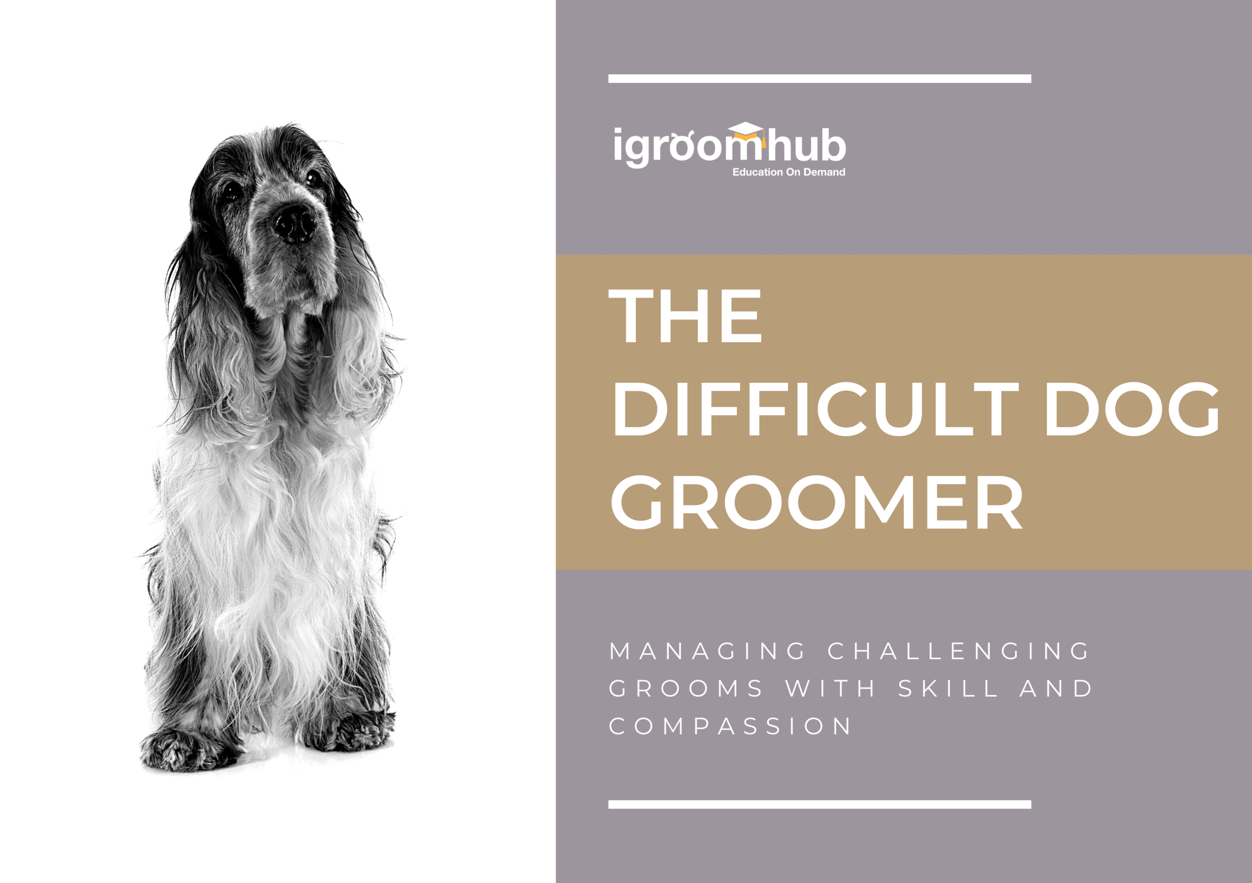The Difficult Dog Groomer