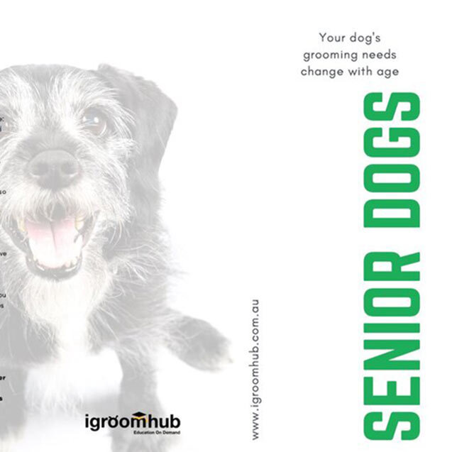Senior Dogs - new brochure