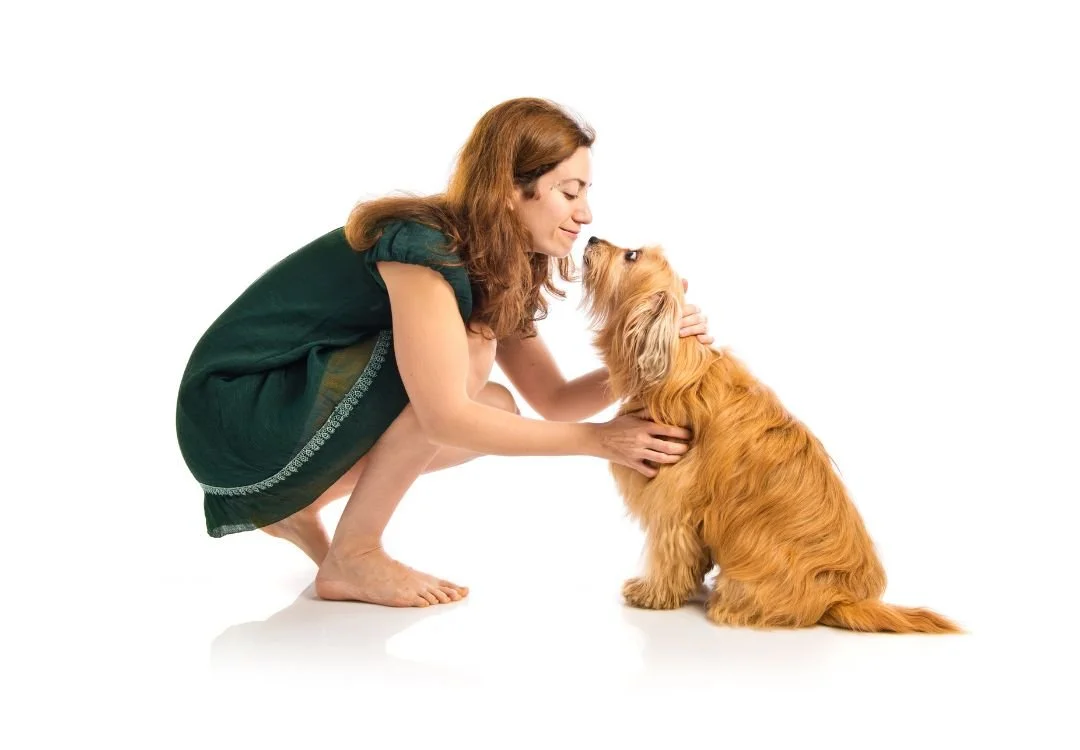 Client Communication Best Practices