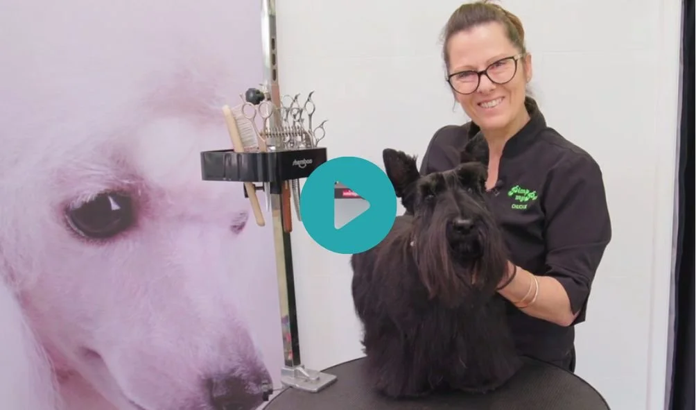 Scottie with Chuckie!