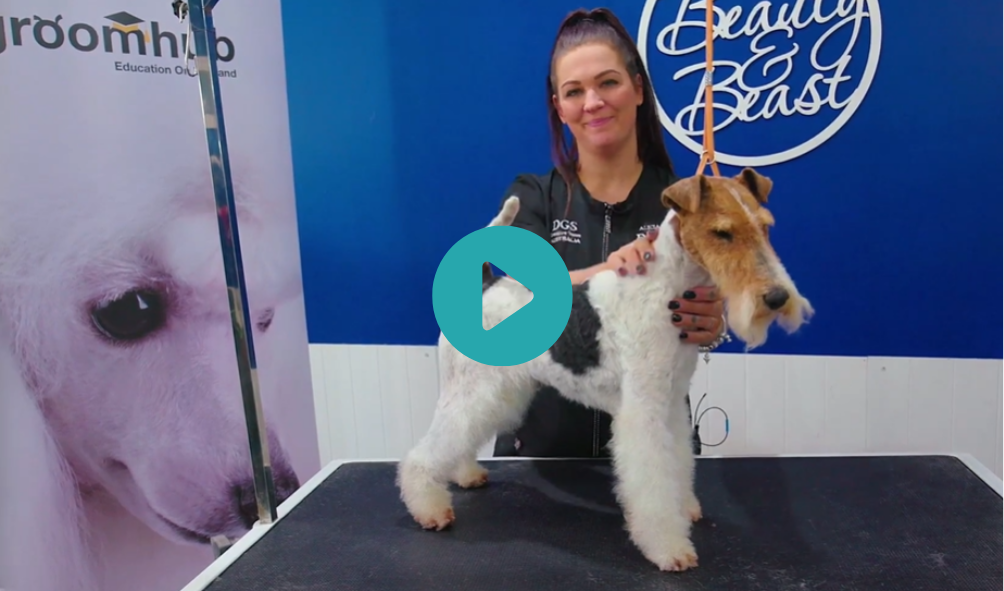 Show prep with Alicia and Tucker